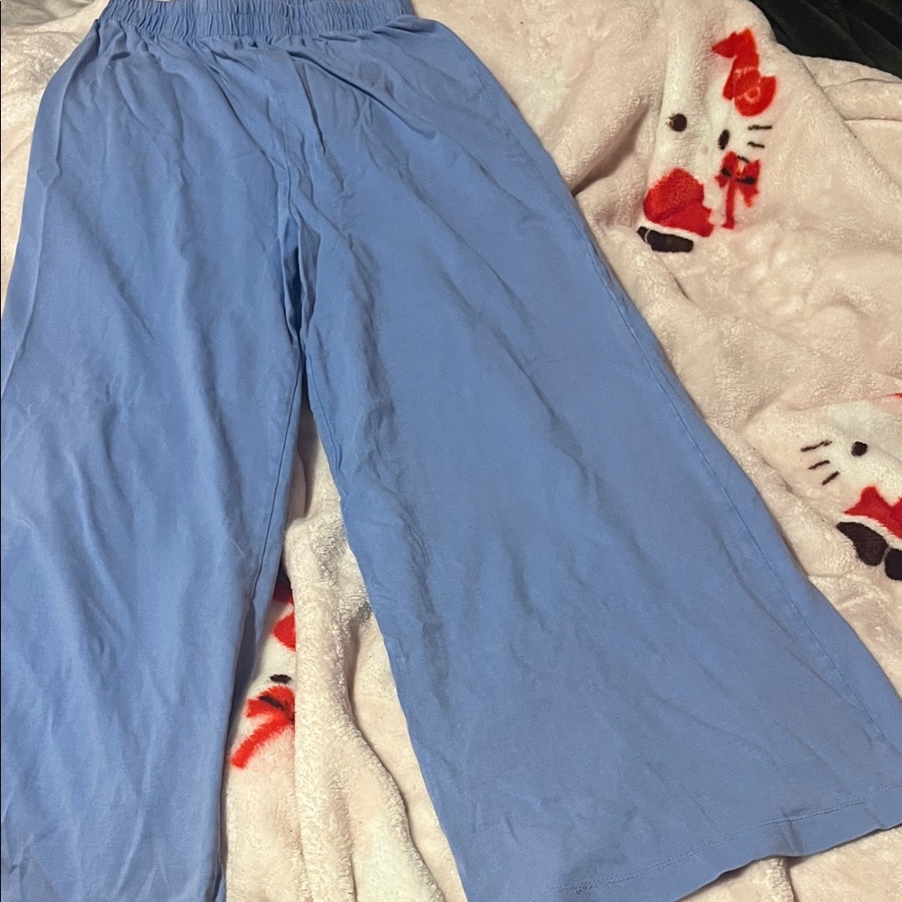 Z Supply Wide Leg Pants in Light Blue